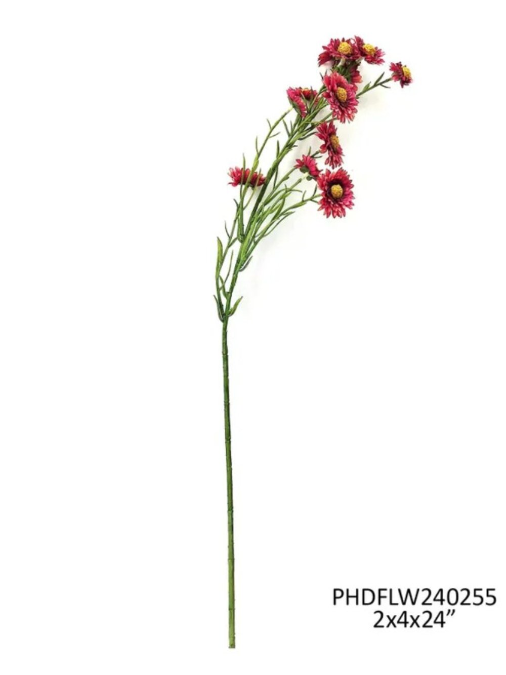 Rosewood Aster NEW